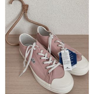 ラコステ(LACOSTE)のラコステ　スニーカー　新品　38A(スニーカー)