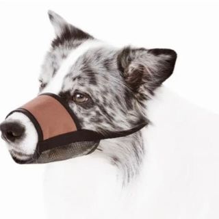 Petio  6号サイズ 犬用 ソフト口輪  大型犬用(犬)