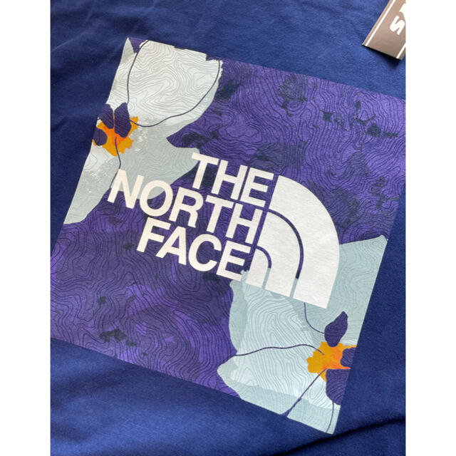 THE NORTH FACE(ザノースフェイス)のTHE NORTH FACE BOX TEE  フローラル　ロングTシャツ メンズのトップス(Tシャツ/カットソー(七分/長袖))の商品写真