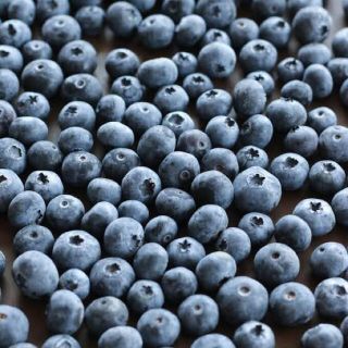 冷凍　ブルーベリー　カナダ産　1kg Frozen Blueberries(フルーツ)