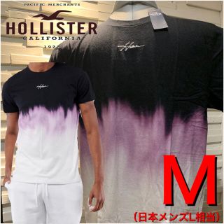 ホリスター(Hollister)の31ホリスター  HOLLISTER  Tシャツ  M 新品 正規品 ロゴ(Tシャツ/カットソー(半袖/袖なし))