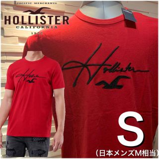 ホリスター(Hollister)の31ホリスター  HOLLISTER  Tシャツ  S 新品 正規品 ロゴ(Tシャツ/カットソー(半袖/袖なし))