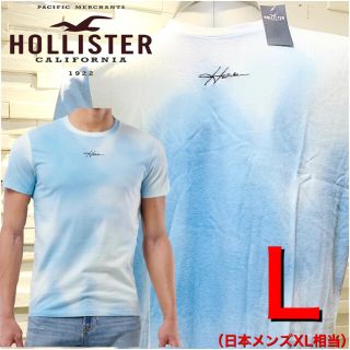 ホリスター(Hollister)の31ホリスター  HOLLISTER  Tシャツ  L 新品 正規品　タイダイ柄(Tシャツ/カットソー(半袖/袖なし))