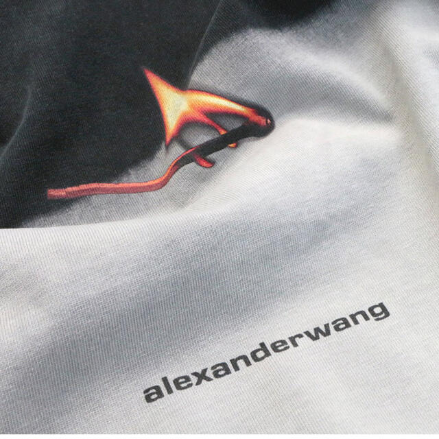 alexander wang tシャツ マッチ