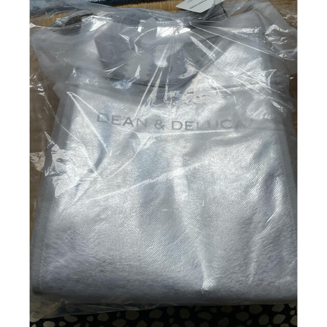 Ziploc® × DEAN&DELUCA × BEAMS クーラーバッグ SM