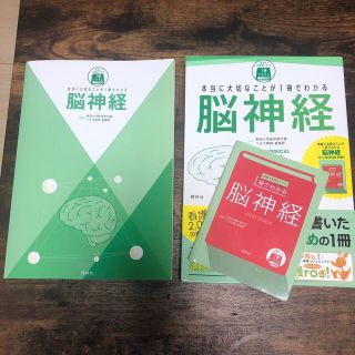 本当に大切なことが１冊でわかる脳神経(健康/医学)