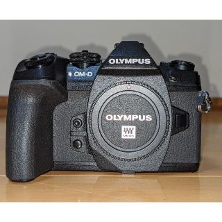 オリンパス(OLYMPUS)のOM-D E-M1 Mark Ⅱ(ミラーレス一眼)