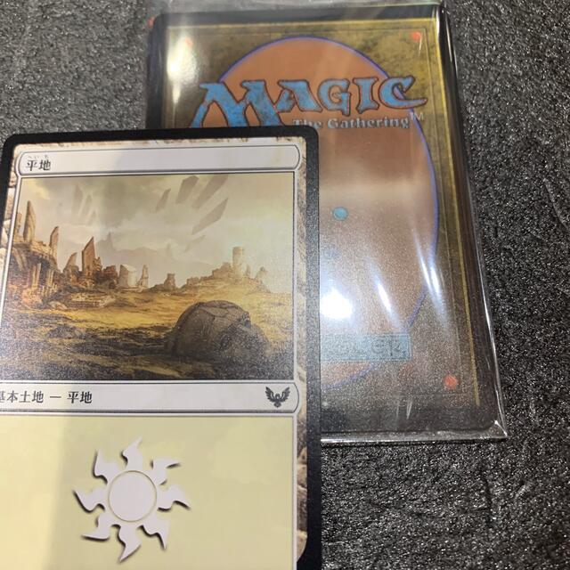 マジック：ザ・ギャザリング(マジックザギャザリング)のMTG基本地形14サービス品 エンタメ/ホビーのトレーディングカード(シングルカード)の商品写真