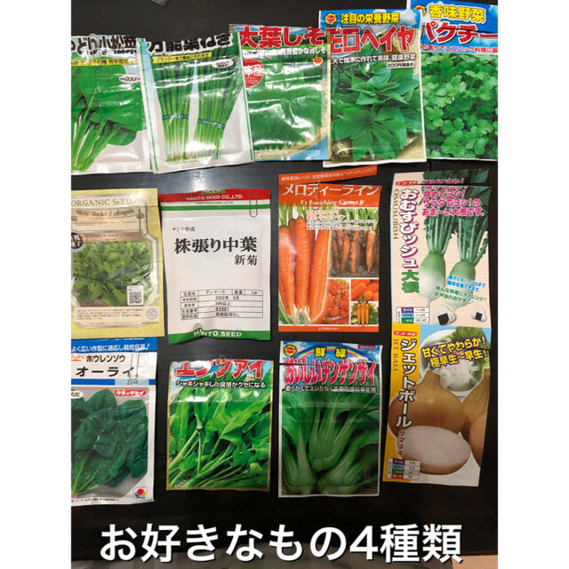 野菜の種　4種セット 食品/飲料/酒の食品(野菜)の商品写真