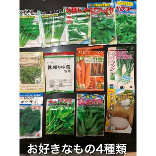 野菜の種　4種セット(野菜)