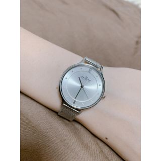 スカーゲン(SKAGEN)のSKAGEN(腕時計)