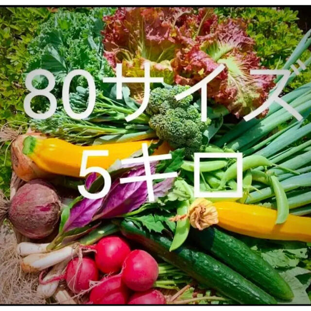 畑直送　無農薬栽培野菜　28日発送 食品/飲料/酒の食品(野菜)の商品写真