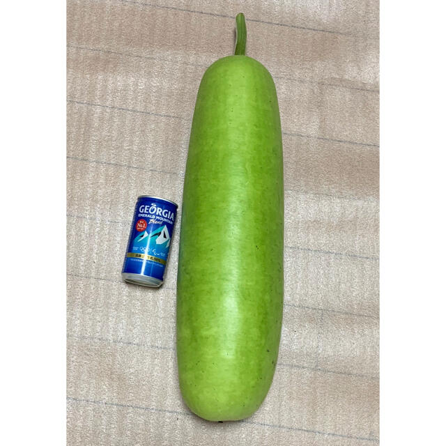 畑直送　無農薬栽培野菜　28日発送 食品/飲料/酒の食品(野菜)の商品写真