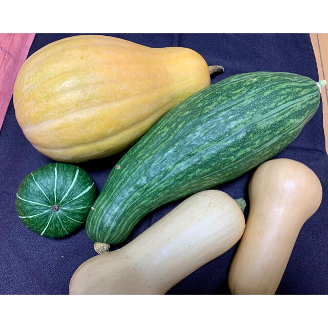 畑直送　無農薬栽培野菜　28日発送 食品/飲料/酒の食品(野菜)の商品写真