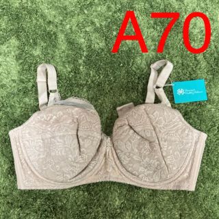 テイジンテビロン新品未使用ブラジャーA70タグ付(ブラ)