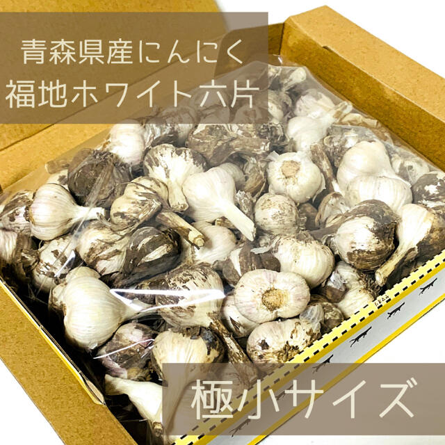 ★超ミニミニサイズ★ 2021年産　青森県田子町産にんにく　850g前後 食品/飲料/酒の食品(野菜)の商品写真