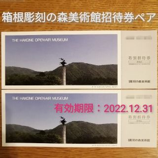 箱根 彫刻の森 美術館 招待券 ペア(美術館/博物館)