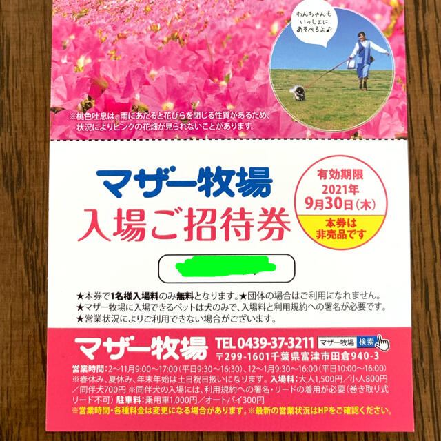 マザー牧場　入場招待券2枚セット チケットの施設利用券(遊園地/テーマパーク)の商品写真