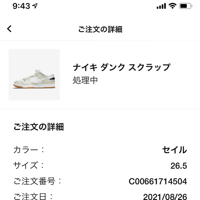 NIKE DUNK スクラップ　sea glass