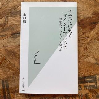 子育てに効くマインドフルネス 親が変わり、子どもも変わる(文学/小説)