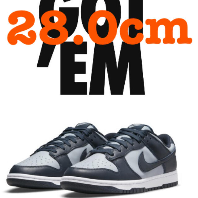 NIKE ナイキ DUNK LOW championship GREY 28