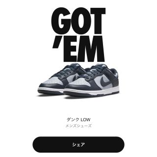 ナイキ(NIKE)のNIKE ダンクロー グレー　28cm(スニーカー)