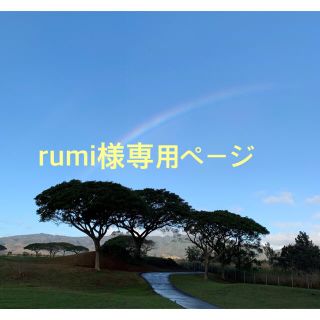 rumi様専用ページ(その他)