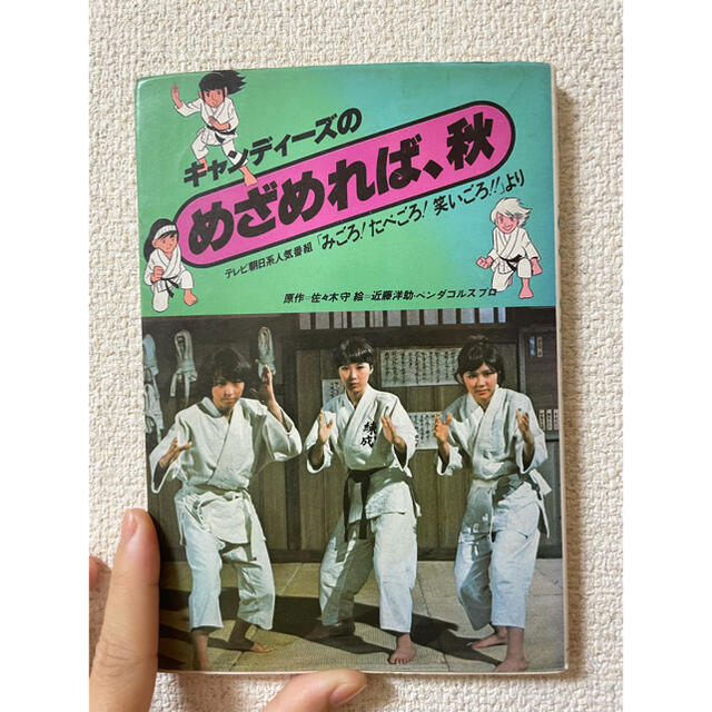 【8/27までの出品です】キャンディーズ　本4冊セット