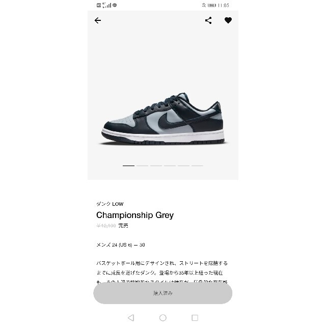 Nike Dunk Low Retro Championship Grey 27