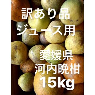 訳あり　愛媛県　宇和ゴールド　河内晩柑　ジュース用　15kg(フルーツ)