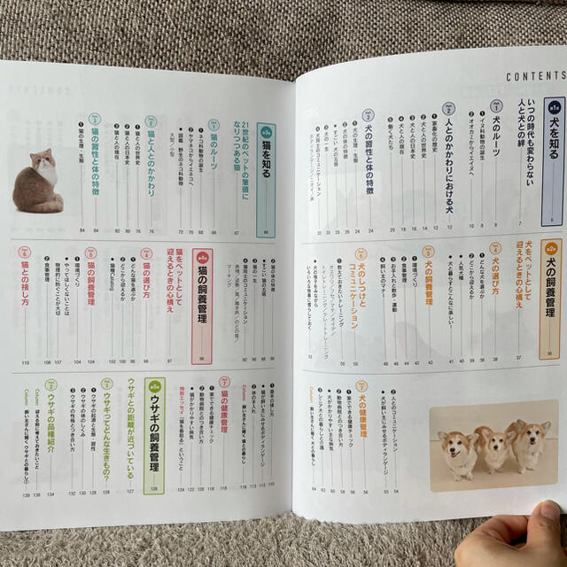 【新品未使用】ペットの飼養管理 エンタメ/ホビーの本(資格/検定)の商品写真