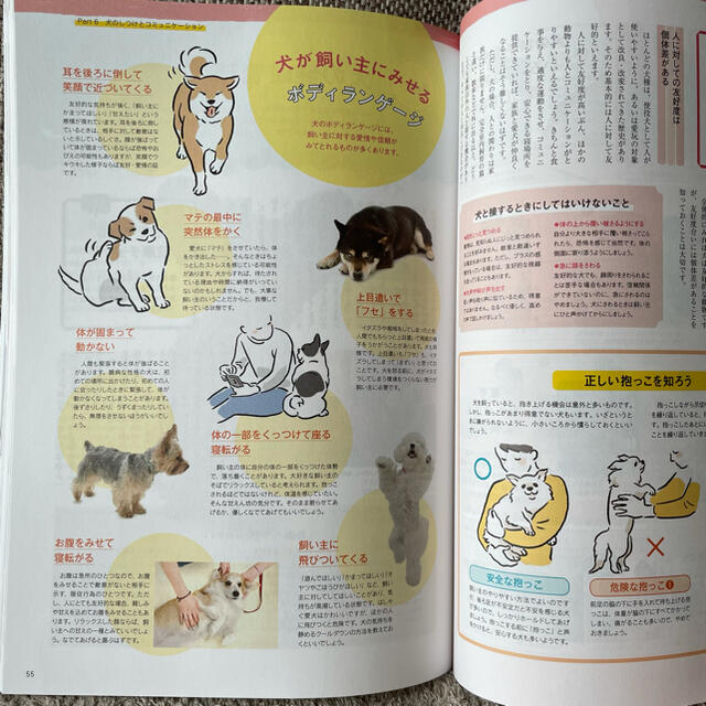 【新品未使用】ペットの飼養管理 エンタメ/ホビーの本(資格/検定)の商品写真