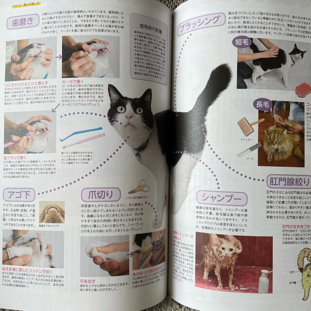 【新品未使用】ペットの飼養管理 エンタメ/ホビーの本(資格/検定)の商品写真