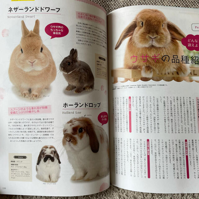 【新品未使用】ペットの飼養管理 エンタメ/ホビーの本(資格/検定)の商品写真