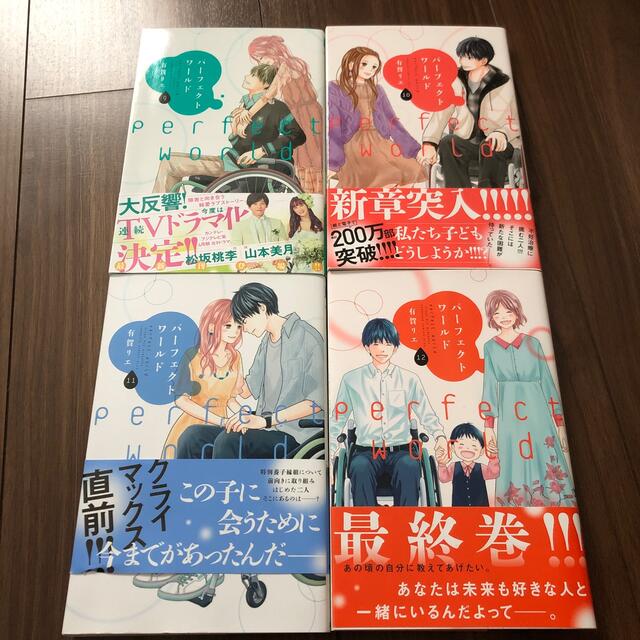 講談社(コウダンシャ)のパーフェクトワールド9.10.11.12 有賀リエ エンタメ/ホビーの漫画(少女漫画)の商品写真