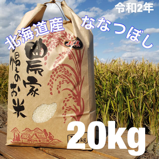 北海道　令和元年度産　最高品質一等　ななつぼし　10キロ