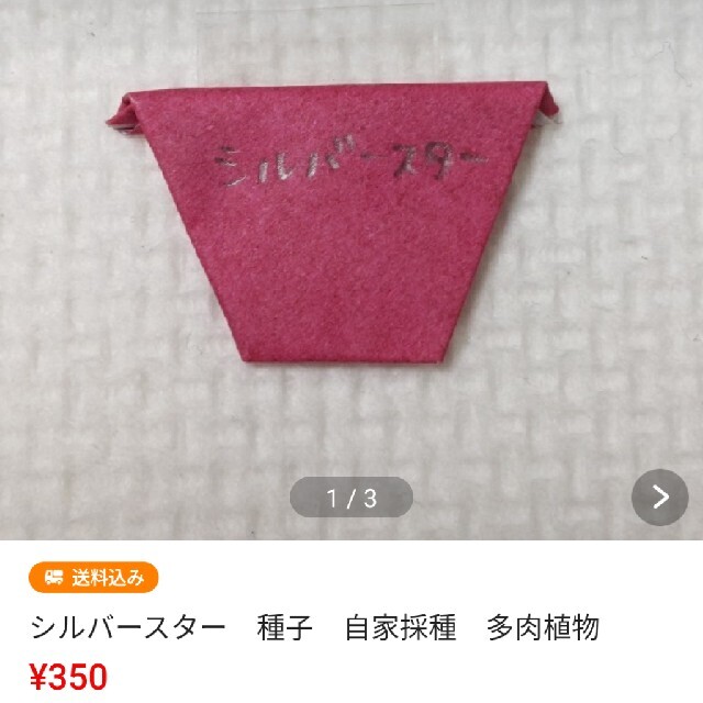 きゅー様専用♡ ハンドメイドのフラワー/ガーデン(その他)の商品写真