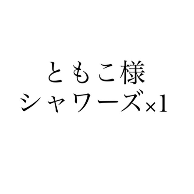 ポケモン(ポケモン)のともこ様専用 エンタメ/ホビーのフィギュア(アニメ/ゲーム)の商品写真