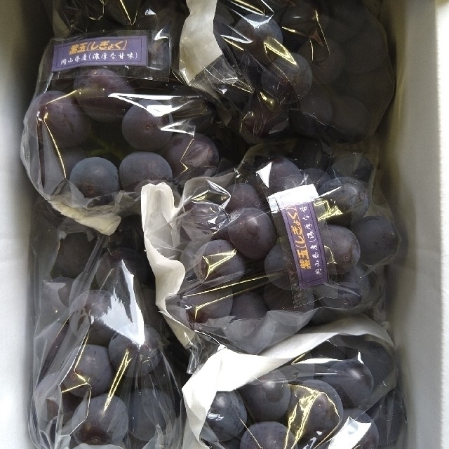 ④ブドウ　岡山県産　紫玉２k　１箱（５〜６房入） 食品/飲料/酒の食品(フルーツ)の商品写真
