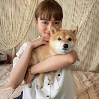 STUDIOUS - ユナイテッドトウキョウ ハーフタイショートボリューム袖