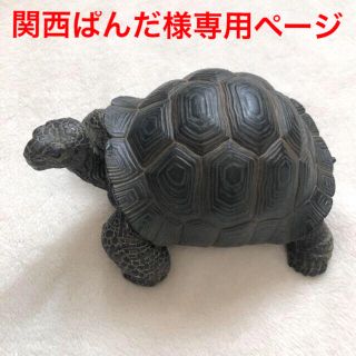 ゾウガメの貯金箱(置物)