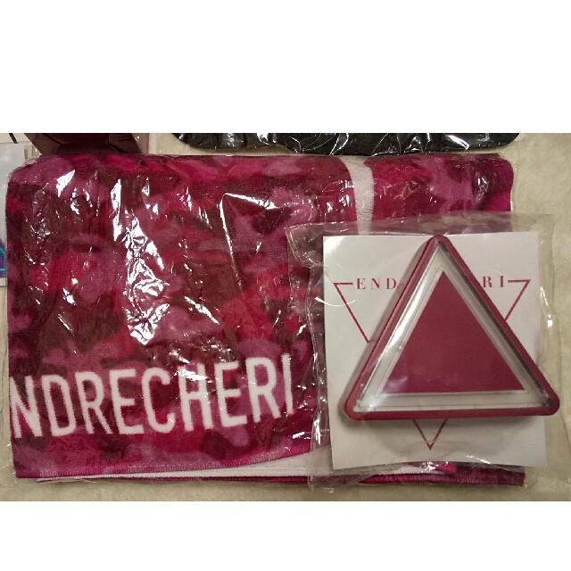 ENDRECHERI グッズ ライト アクリルチャーム 堂本剛 KinKi ENDRECHERI グッズ ライト アクリルチャーム 堂本剛 KinKi