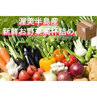 【渥美半島】農家直送お野菜詰め合わせ　80 お任せ満杯詰め！(野菜)