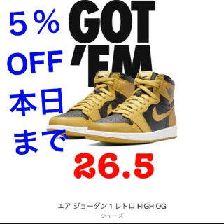 ナイキ(NIKE)のNIKE AIR JORDAN 1 RETRO HIGH OG POLLEN(スニーカー)