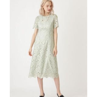 ジルスチュアート(JILLSTUART)のJILLSTUART ヴェラレースワンピース(ひざ丈ワンピース)