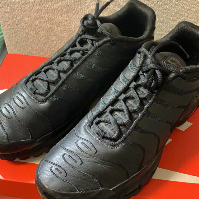 NIKE AIR MAX PLUS BLACK 28センチ　トリプルブラック