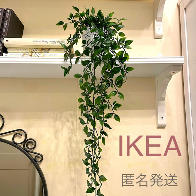 IKEA(イケア)の【新品】IKEA イケア フェイクグリーン 人工観葉植物 （フェイカ） インテリア/住まい/日用品のインテリア小物(その他)の商品写真