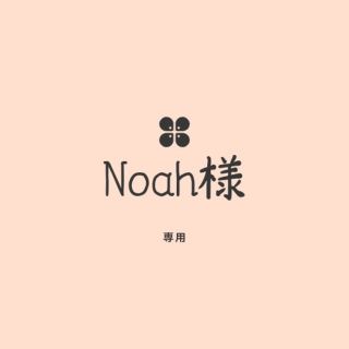 Noah様専用☆多肉植物(その他)