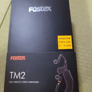 Fostex TM2 + FitEar端子 + CIEM2pin端子(ヘッドフォン/イヤフォン)