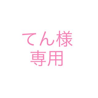 アデリアレトロ　缶バッチ　てん様専用(その他)